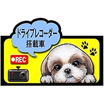 Amazon.co.jp: 犬ステッカー シーズー64 シール雑貨グッズ : 車